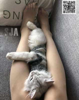 异世界失格_BD英语在线观看完整版
